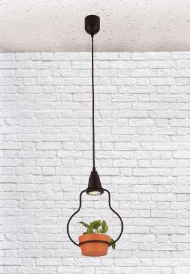 LOFT IT Подвесные светильники  1xG5.3x5W 220x130 H 1260 Металлическая арматура, цвет - кофейный золо