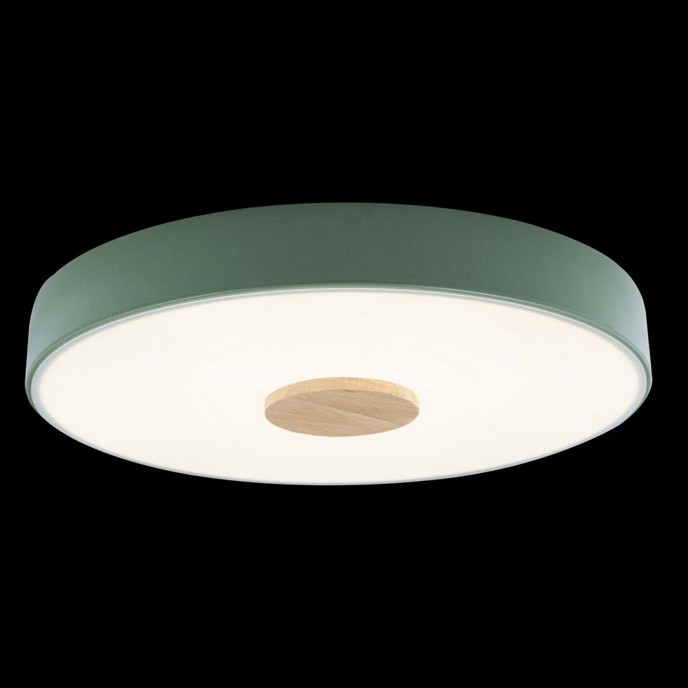 Качественная картинка LOFT IT Потолочный светильники 24 Вт D400*50мм зеленый пластиковый (арт. 10003/24 Green)