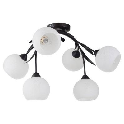 Люстра Lussole Loft Bagheria LSF-6283-06