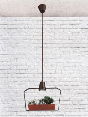 LOFT IT Подвесные светильники  1xG5.3x5W 330x80 H 1180 Металлическая арматура, цвет - кофейный золот