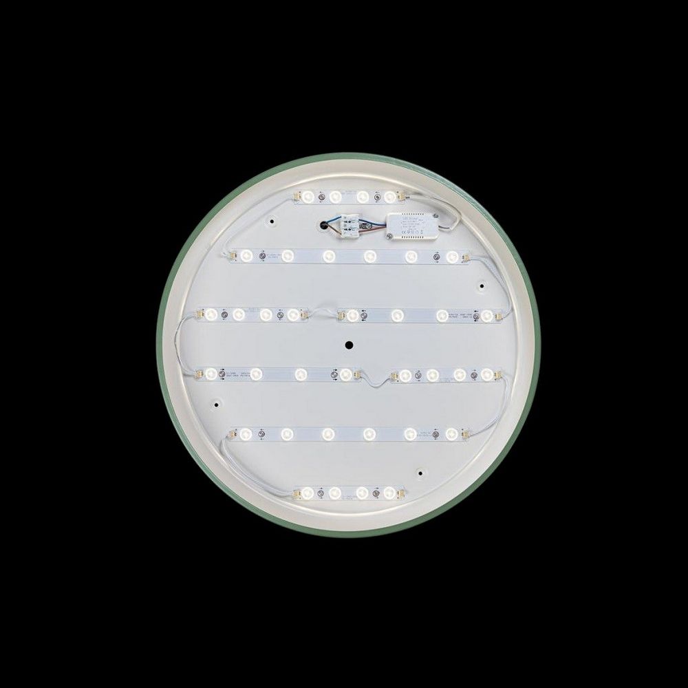 Качественная картинка LOFT IT Потолочный светильники 36 Вт D500*70мм зеленый пластиковый (арт. 10001/36 Green)