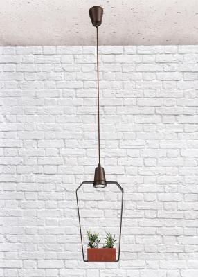 LOFT IT Подвесные светильники  2xG5.3x5W 240x80 H 1280 Металлическая арматура, цвет - кофейный золот