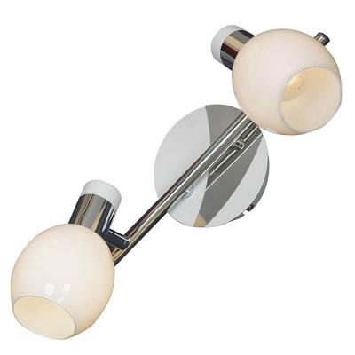 Линейный спотовый светильник Lussole LSX-5001-02