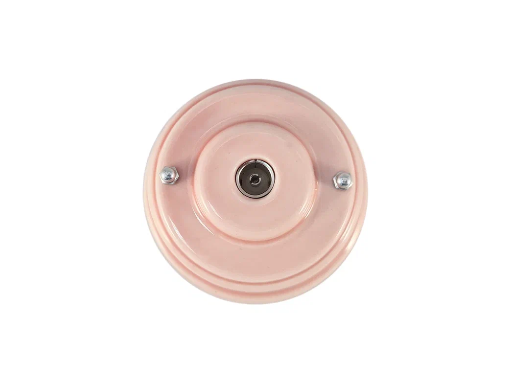 Качественная картинка Ретро розетка ТВ Леанза фарфор rosa (розовый) серебристая фурнитура