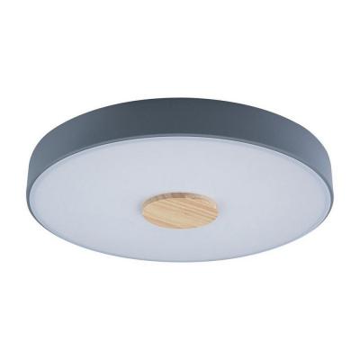LOFT IT Потолочный светильники 24 Вт D400*50мм серый пластиковый (арт. 10003/24 Grey)